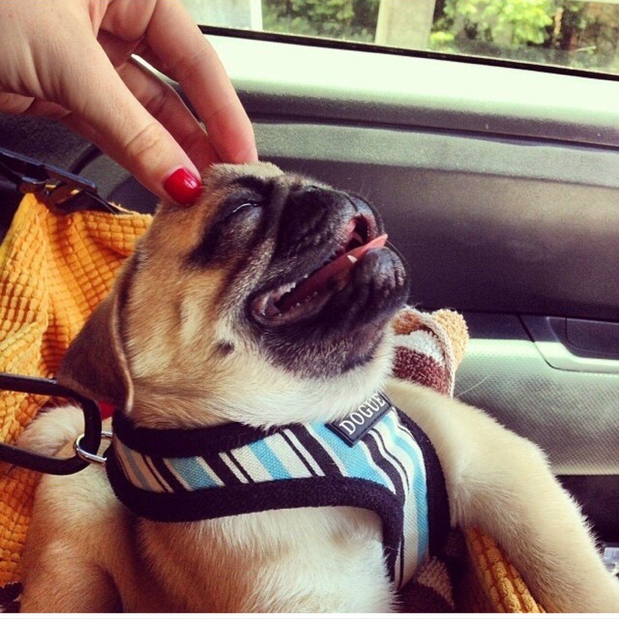 shitonisays's profile picture. Rediculous and random stuff our little friend Oni says