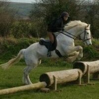 Mullacott Equestrian (@mullacott) 's Twitter Profile