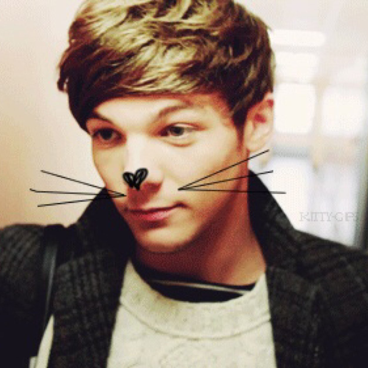 Follow @sassafraszouis please x