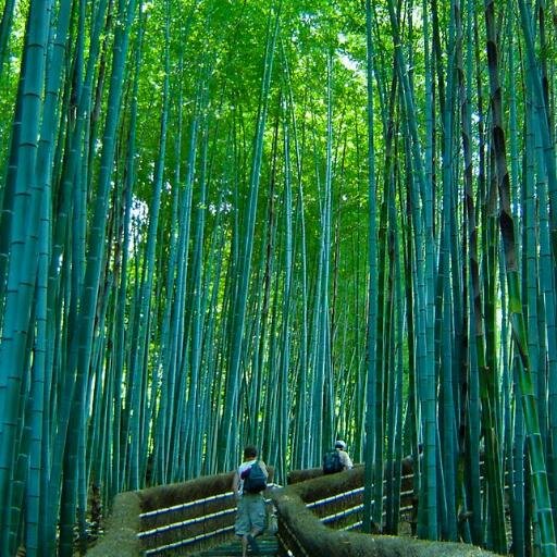 perfectdesign0's profile picture. Decoración y acabados en interiores.
Persianas, cortinas, pisos, muros y diseño y fabricación de muebles.