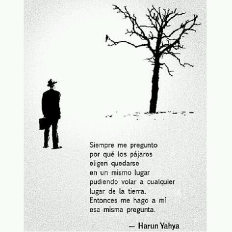 castroandres01's profile picture. 