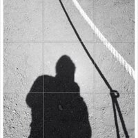 mathias van hooff (@mathiasvanhooff) 's Twitter Profile