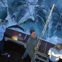 Neil Cronin - @CapeFishing - Twitter