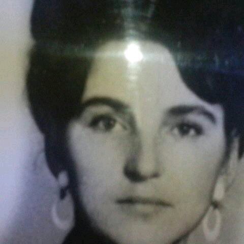 NikafiFilipenko's profile picture. 