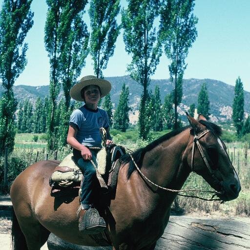 Part-owner of a family farm and vineyard in Chile. Wine lover, and amateur woodsman. Work hard to feed the soul