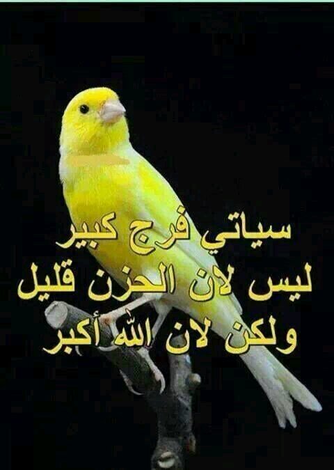 0200f370c375422's profile picture. 