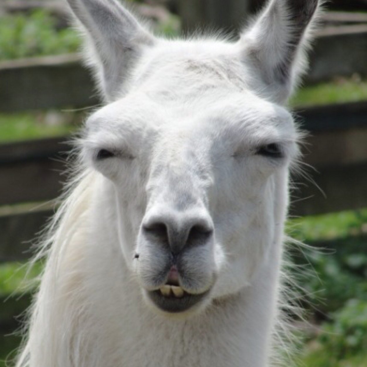 FactsUneed2Knw's profile picture. Facts you must know to survive daily.