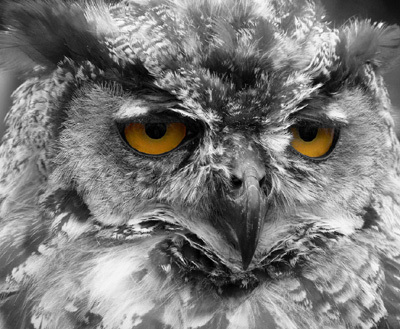 Caiaai's profile picture. I remember the telex. Nuff said.