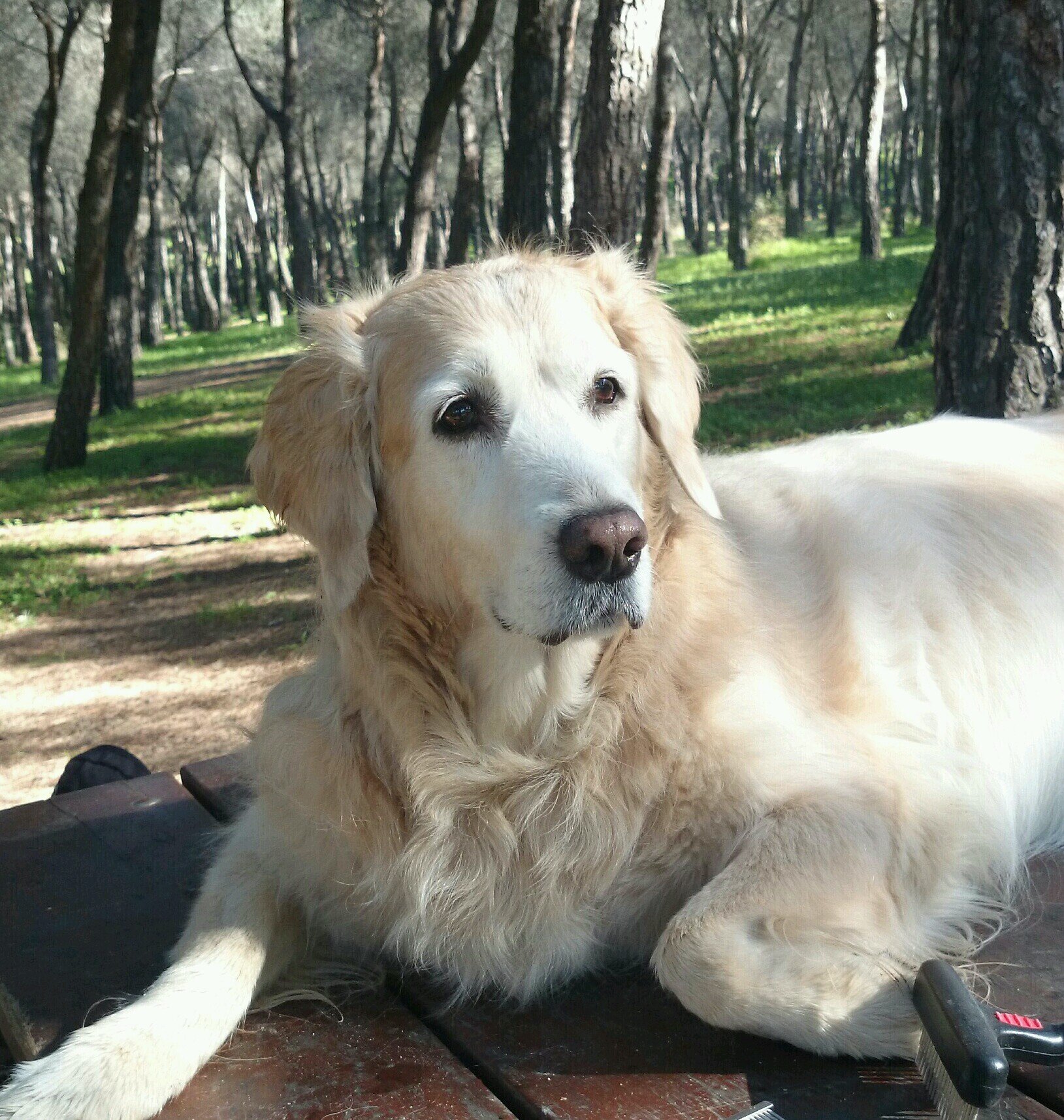 sambalialimba's profile picture. 