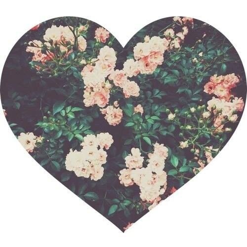 teachmehowto11's profile picture. 