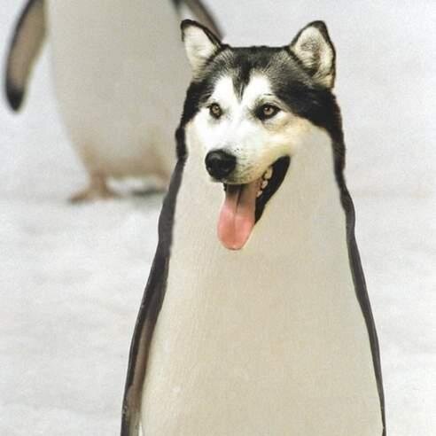 MateuszHanzel's profile picture. 