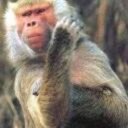 James Capps - @hersanddasi - Twitter