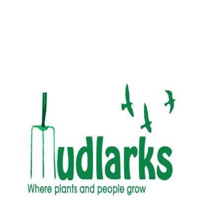 Mudlarks Community Garden: where plants and people grow. Visit our charity cafe in Hertford.