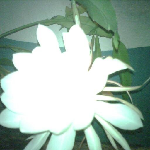 magda_s12's profile picture. Nacida en la Ciudad de El Tocuyo Estado Lara