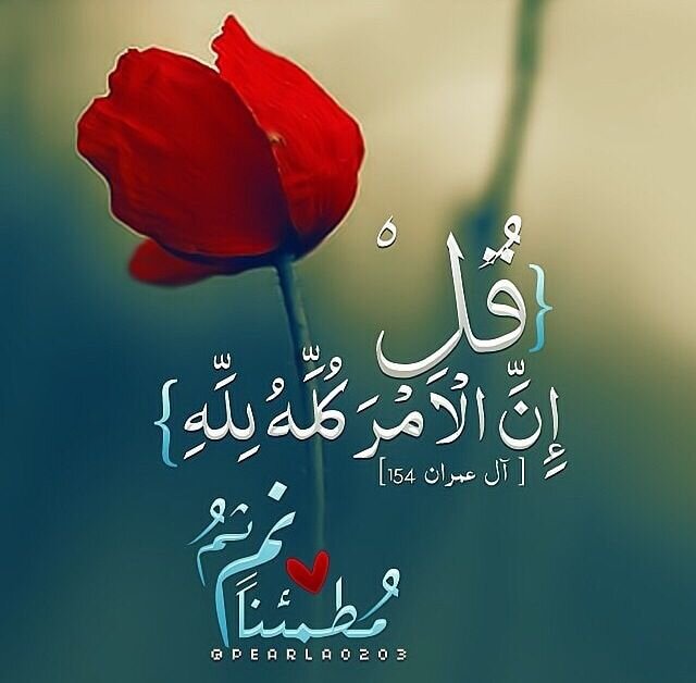 حمد الراشدي تابعوني وفالكم طيب