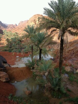 سبحان الله وبحمده سبحان الله العظيم