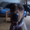 sandra michaud - @sandramichaud12 - Twitter