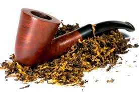 Tobacco Canada. Tobacco Seeds. Growing Tobacco In Canada.
