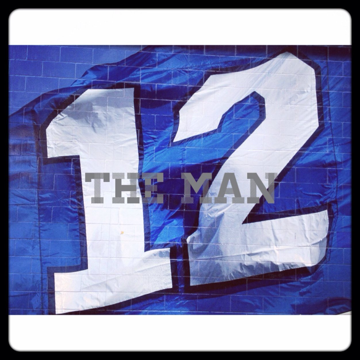 Go Seahawks....Go Mariners....