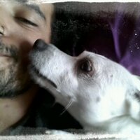 j (@_juandelopez) 's Twitter Profile