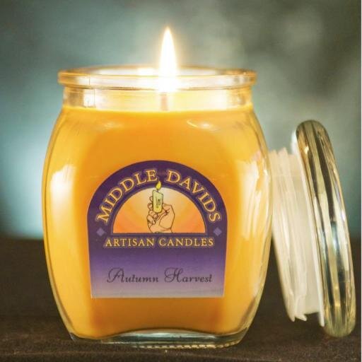 Natural soy candles hand poured in over 50 fragrances from our shop in downtown Franklin, IN. Offering fundraisers for non-profits, and educational tours.