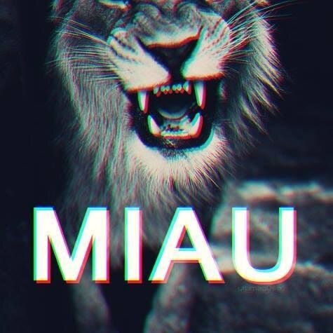 BadGirlsLimit's profile picture. Somos Bad Girls✌,no nos importan las reglas,aquí encontrarás fotos,frases & todo lo que una chica quiere★
Síguenos✝