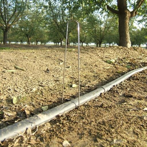 Solid Stainless Staples (Stakes) are offered in 6, 8, 10 and 12 lengths. They are used to secure agricultural / irrigation drip lines or drip hoses.