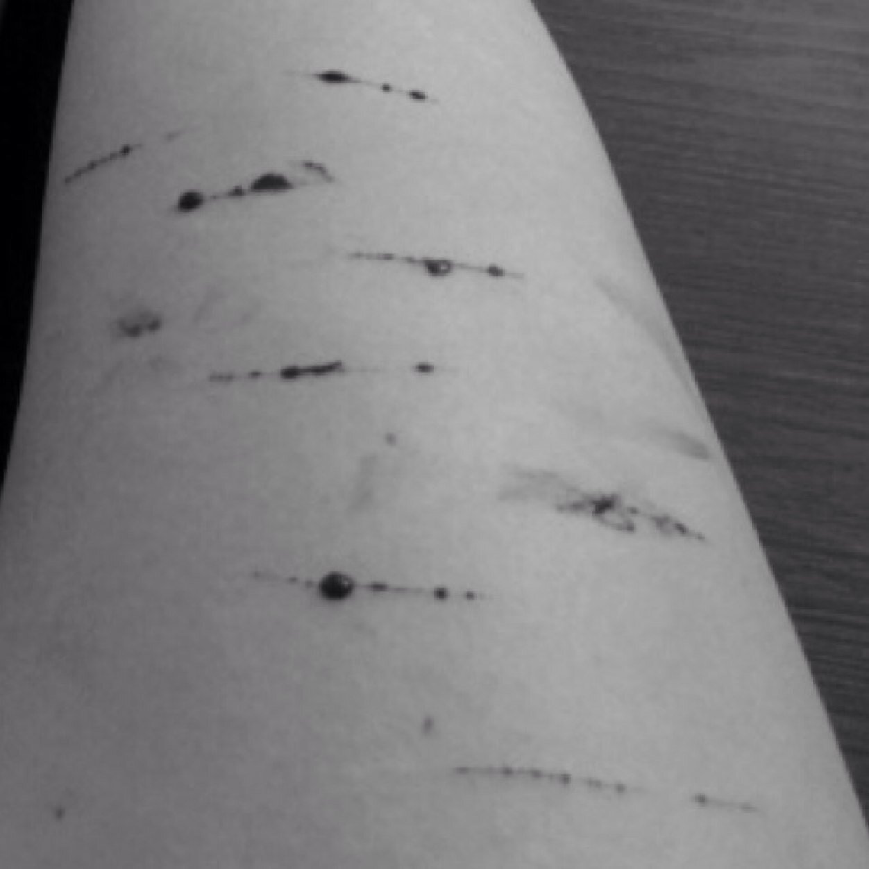 CatSueForever's profile picture. Juste une fille qui se mutile et qui veut partager ce qu'elle ressent...