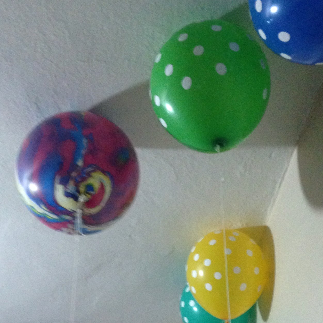 bumbacumba's profile picture. İzmirli