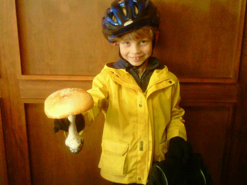 Vladimir_the1st's profile picture. 