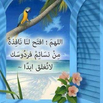 ‏بسم الله الرحمن الرحيم
واشهد ان
لا اله الا الله واشهد ان محمد رسول الله
 مخرج تليفزيوني, كاتب صحفي بالصحافة العربيه
 , شاعر غنائي ,  مصور