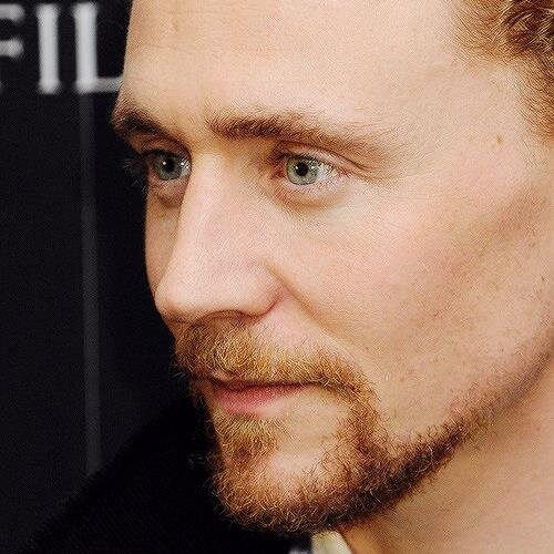 ♥TWH, Loki's Army, THG, Jlaw, RDJ, 1D ♥ Cumberbabe. Divergent. Dr.Who. Sherlock♥ #Johnlock #Jelsa #Shakespeare #Tolkien #Books #Movies #MARVEL ♥