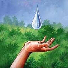 laveanka13's profile picture. 