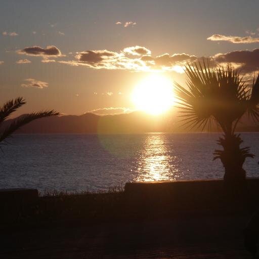 MulhollandJenny's profile picture. Network marketing professional, property investor & entrepreneur always looking for exciting ways to make money. Passionate about personal development