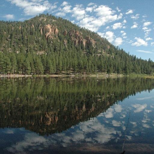 soccermom505's profile picture. 