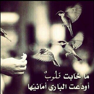 بعض الناس لو تعطيهم من طيب أطنان تبقى نفوس الرديه رديه