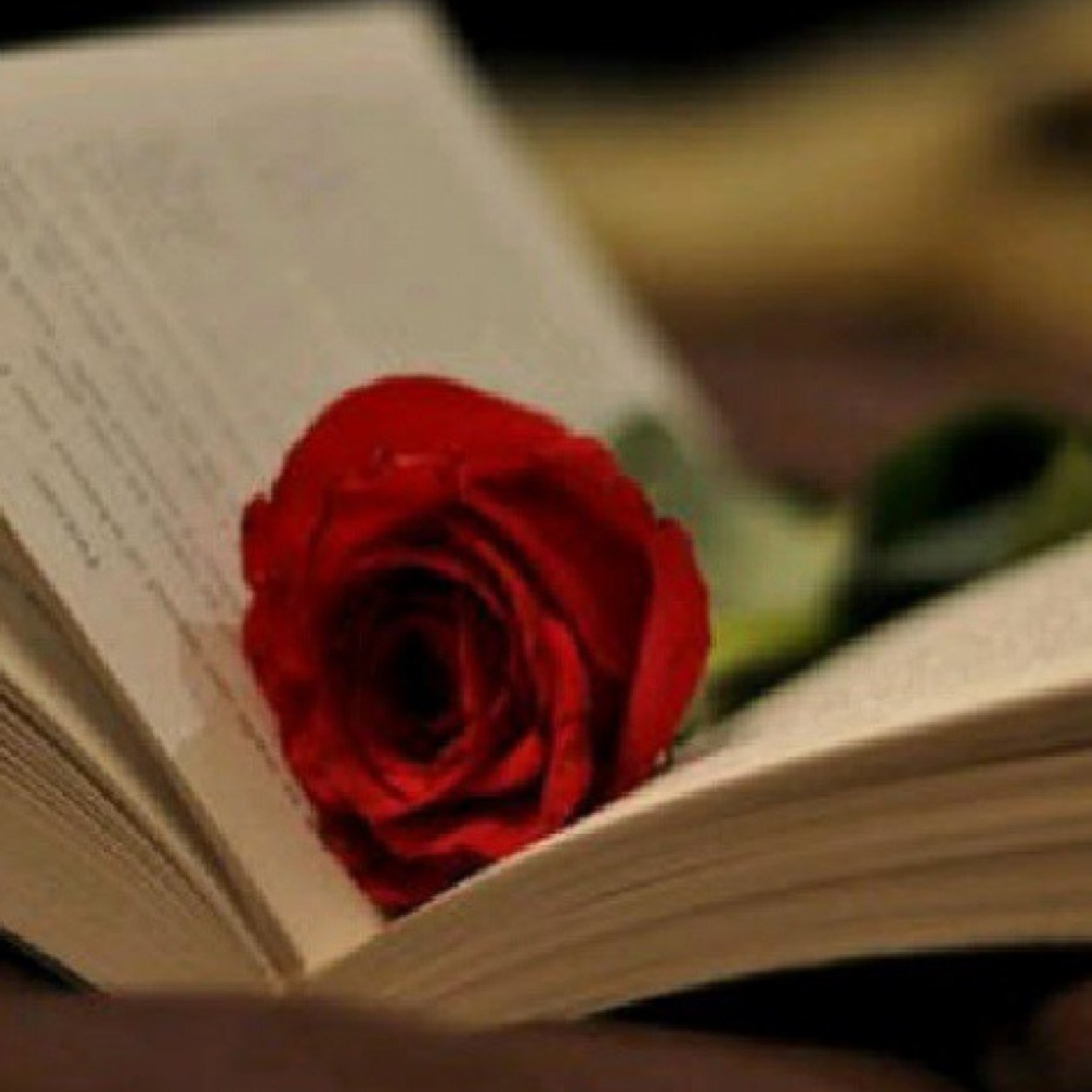‏وش أكـثـر مـن إنـك تـسـكـن كـل آحـلامـي؟ أنـآم ۆأصـحى ۆالـشـوق يـبقـى : لـگ♡