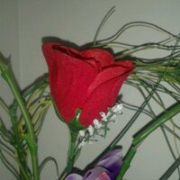 E E D (@ndonmez2011) 's Twitter Profile