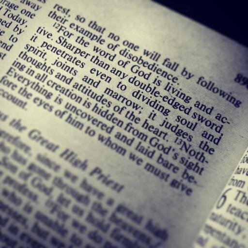 DailyBibleNIV's profile picture. Daily Bible Quotes