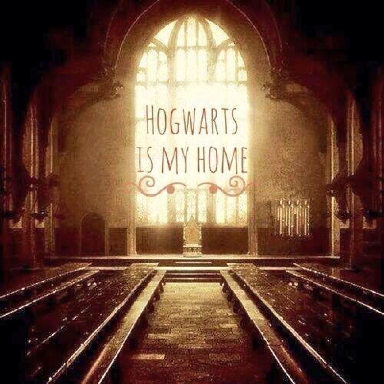 Hello ;) xx Always in love with Harry Potter! Potterheads follow!!! Also there will be drarry stuff etc here⚯͛ △⃒⃘