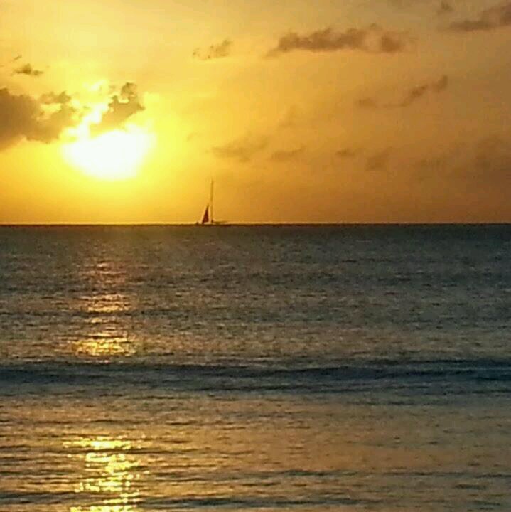 zionchild98's profile picture. 