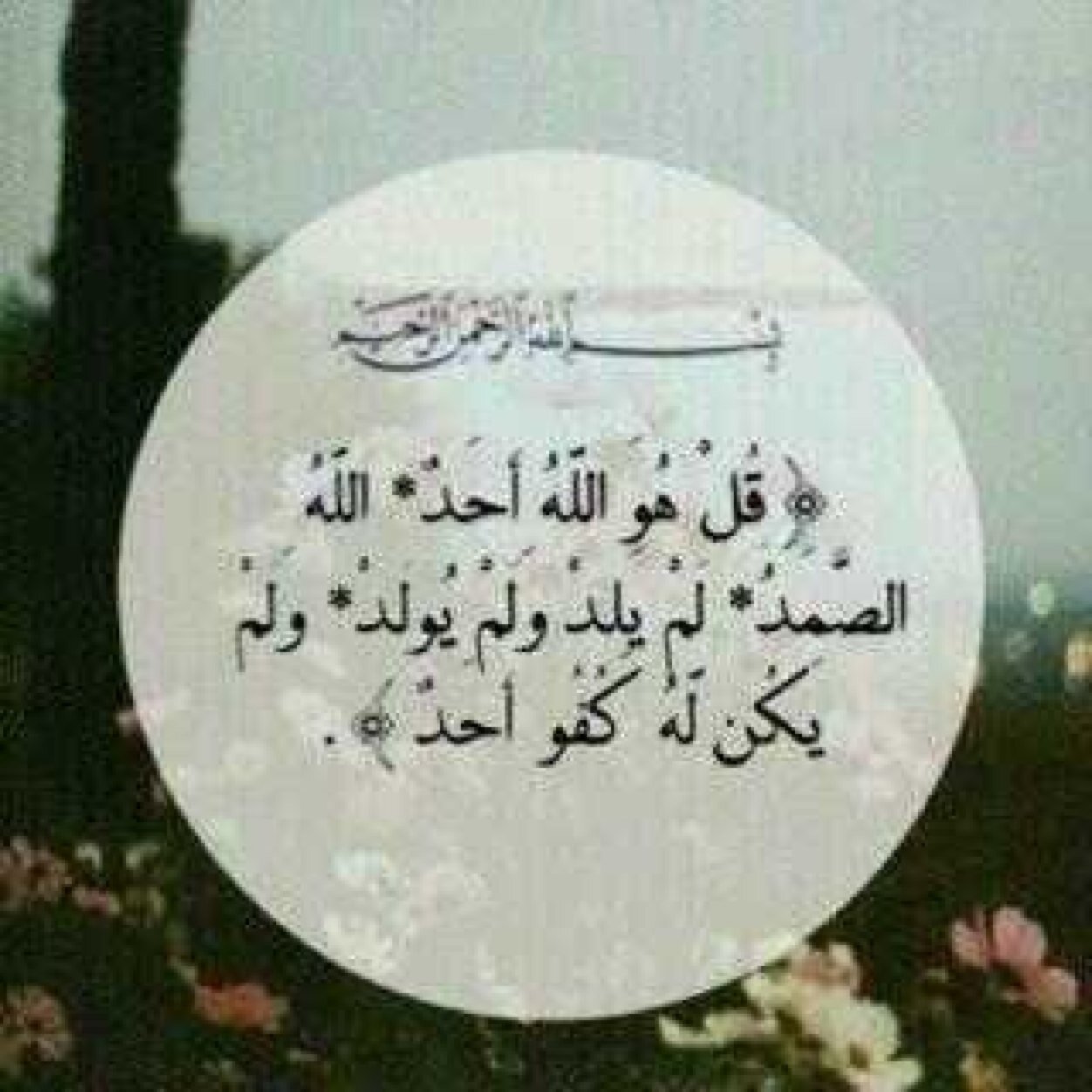 ولأني أحبه ، أنشَأت هذا الحساب لعله يكون شفيعاً له يوم القيامة . لا اله الا الله ..