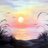 SurfriderBB's profile image