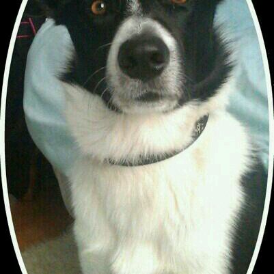 GEarons's profile picture. 