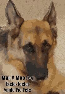 MaxAMoosey's profile picture. German Shepherd extraordinaire and full-time taste-tester for my Mom's K9 jerky company, Apple Pie Pets.  This is my place to share the things I ponder.