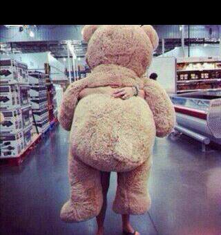 شهود تقرين احبك،،»«: