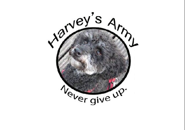 Harvey's Army Profile