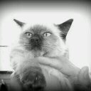 Katherine Meneses - @c60e64fe2a964e5 - Twitter