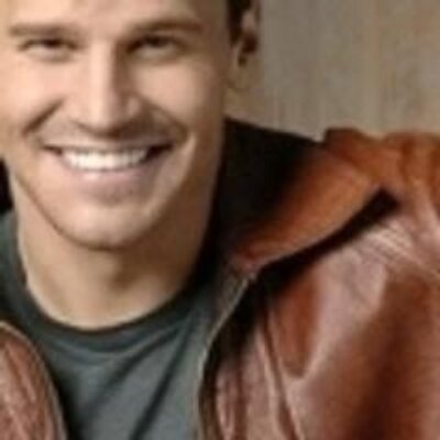 david boreanaz dick East asian studies journal