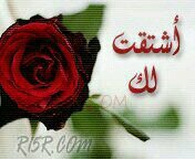 قلبي ع كيفه يحبك ويختار وأنت ألذي شوفك يداوي جروحي